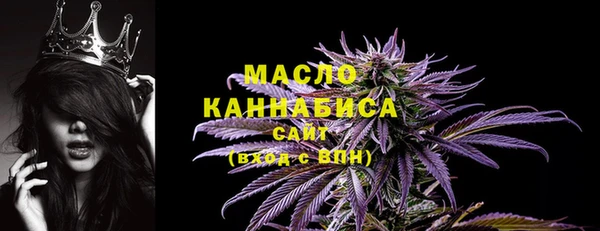 гидропоника Дмитриев