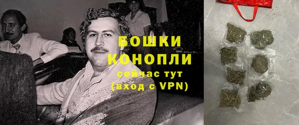 гидропоника Дмитриев