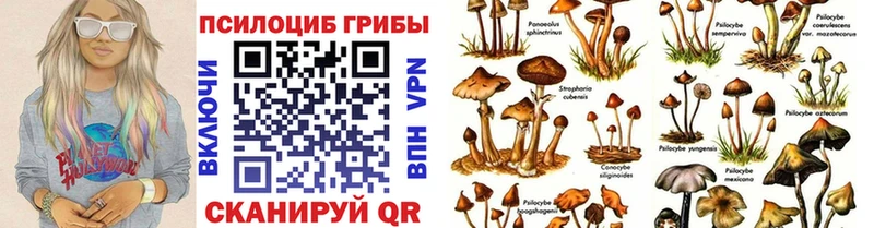 даркнет сайт Малмыж Псилоцибиновые грибы Magic Shrooms
